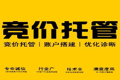 某知名企业SEM主管的成长之路